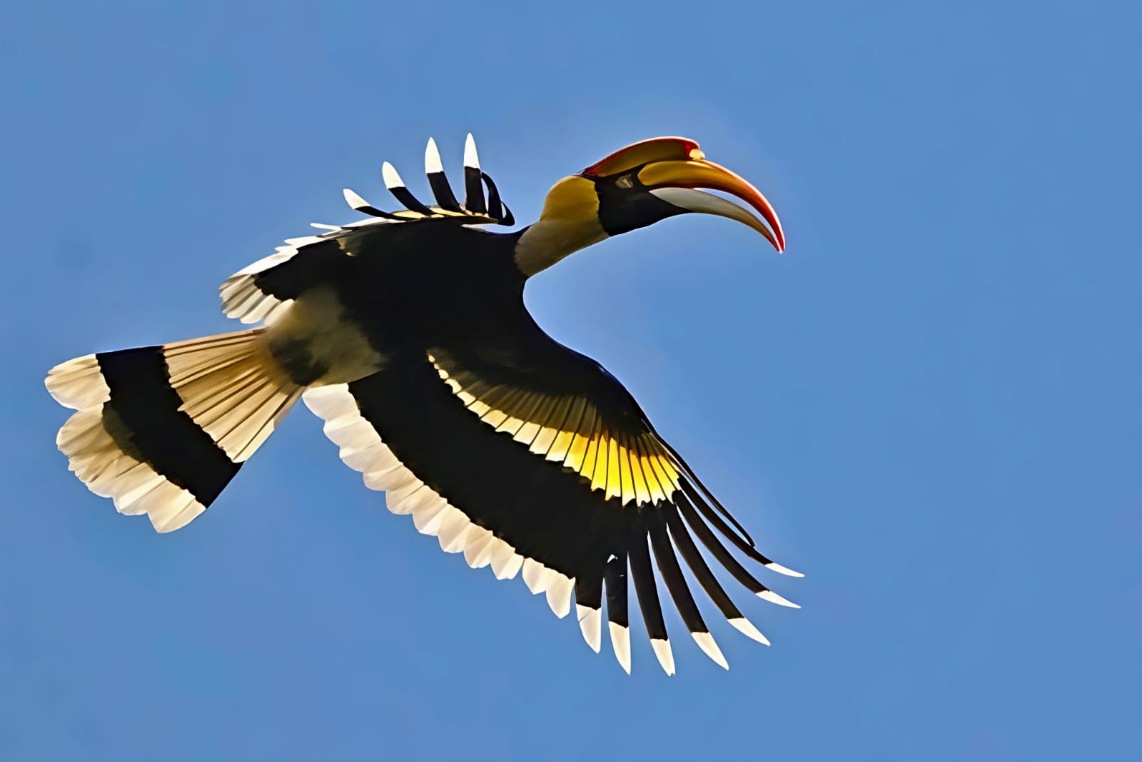 Parc National de Bardia 2